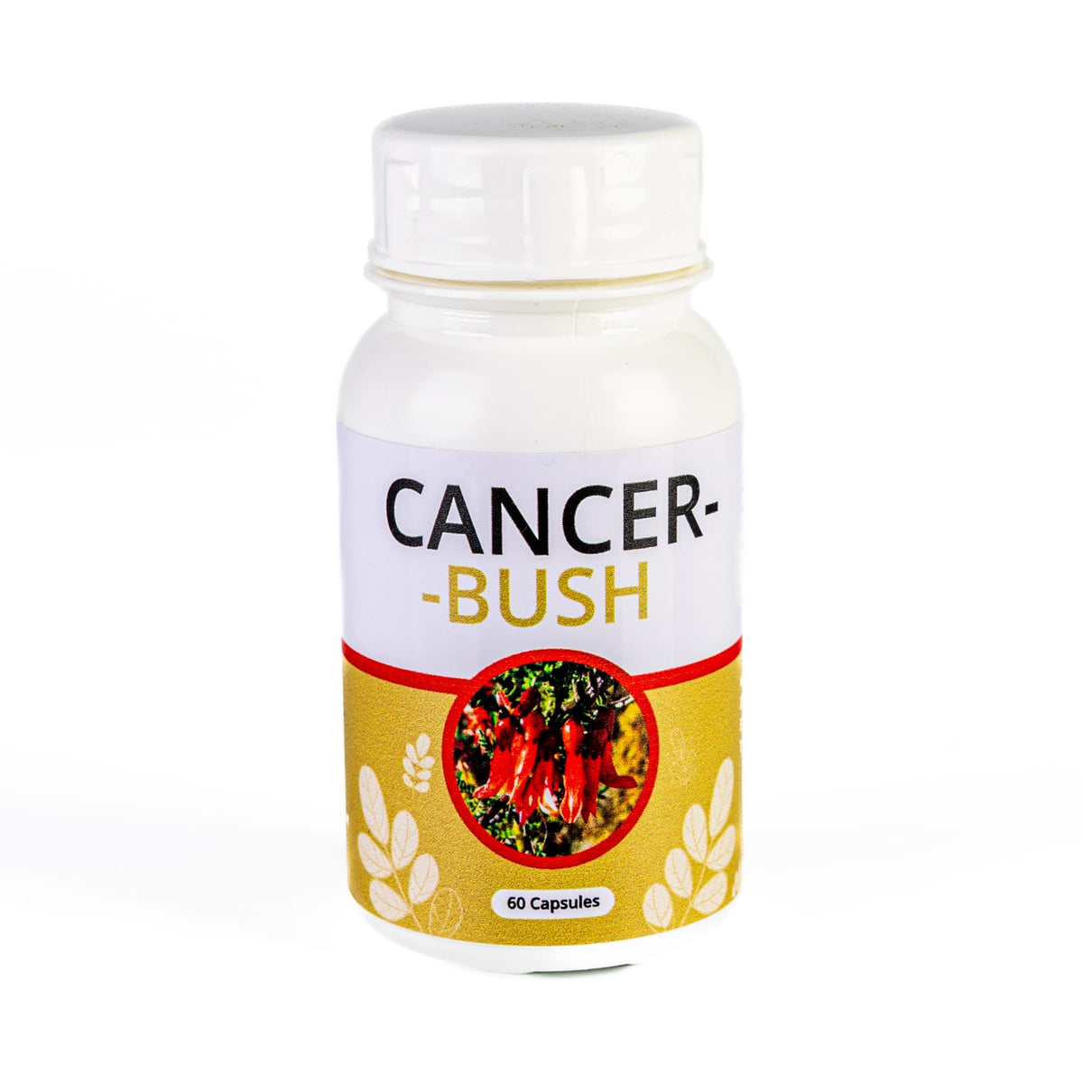 Cancer Bush Capsules - 60 Caps / Sutherlandia frutescens / Traditional Herbal Support